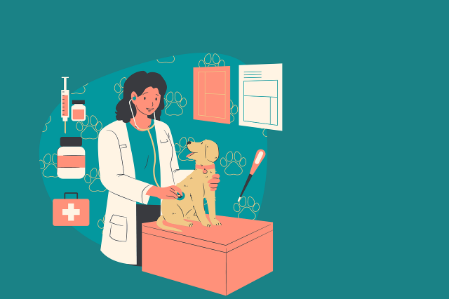 veterinary-6819364_1280